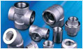 Forged Fittings